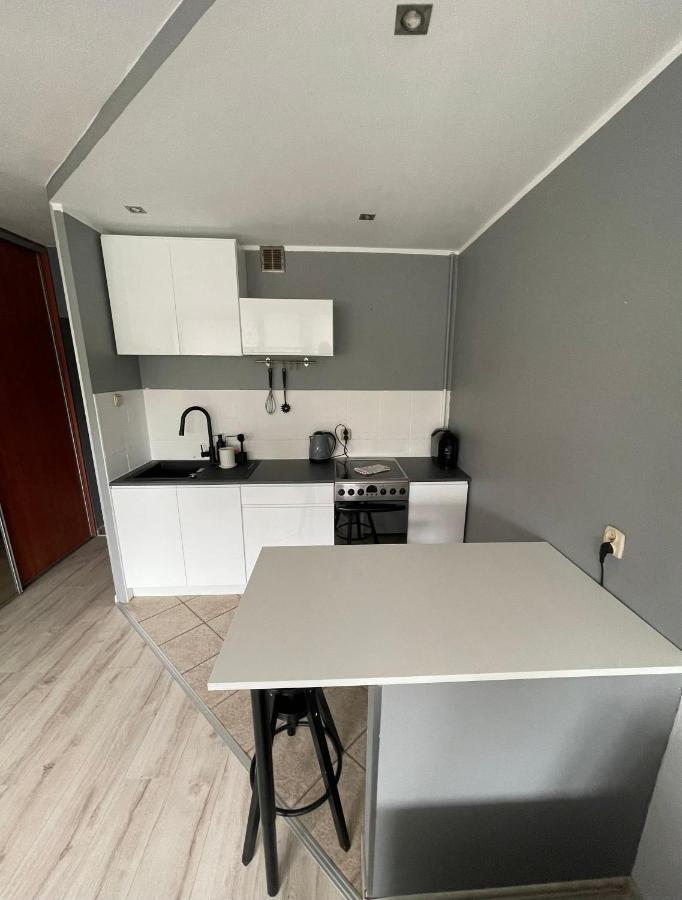 City Center Apartment カトヴィツェ エクステリア 写真