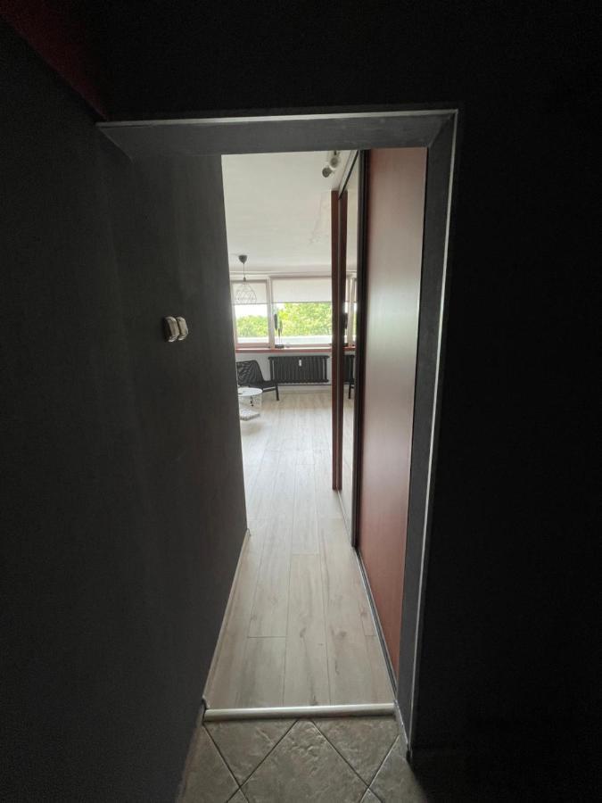 City Center Apartment カトヴィツェ エクステリア 写真